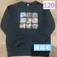 イタリアンブレインロット　裏起毛