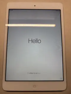 Apple iPad mini初代 本体