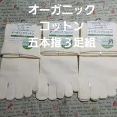 ３足組♪オーガニックコットン　 五本指ソックス(23～25)