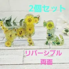 固まるハーバリウム　レジン