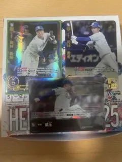 ドリームオーダー　岡林 勇希　SEC