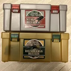 スタッグビートルボックス　クワガタムシ　カブトムシ