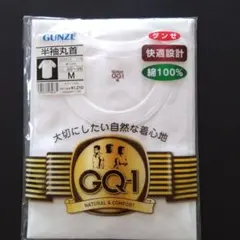 GUNZE 半袖丸首Tシャツ GQ-1 Mサイズ
