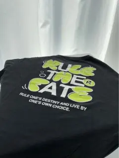 Item thumbnail for item 974b2011-92da-45af-a81a-8a5c1ad0788e