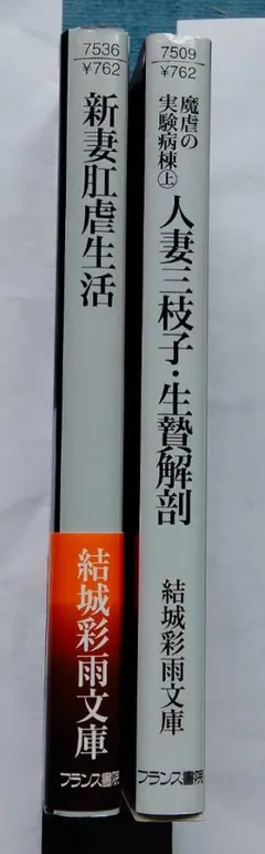 結城彩雨文庫2冊 魔虐の実験病棟上巻 新妻肛虐生活のサムネイル