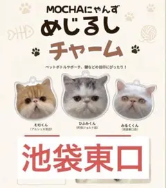 【池袋東口店】MOCHAにゃんず めじるしチャーム 池袋東口店】MOCHAにゃんず めじるしチャーム - メルカリ