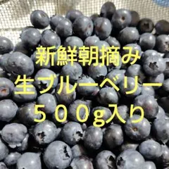 新鮮朝摘み 生ブルーベリー 500gのサムネイル