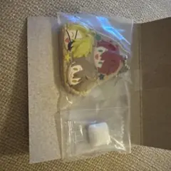 カラフルピーチ　からぴち３人集合　クッキーチャームコット