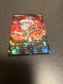 中日ドラゴンズ 石伊雄太選手 フォト2枚セット - メルカリ