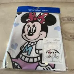ディズニーリゾート　仲良しくらぶ　ミッキーミニー　のれん　暖簾
