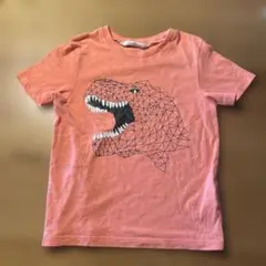 恐竜　怪獣　Tシャツ　110位