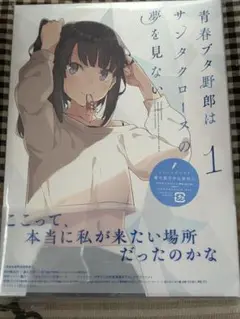 青春ブタ野郎はサンタクロースの夢を見ない 1〈完全生産限定版〉 DVD 青ブタ