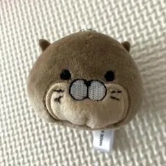 新品　カワウソ　キーホルダー　ぬいぐるみマスコット　アドベンチャーワールドのサムネイル