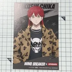 ⚠️裏面汚れあり　ウィンブレ　ポスカ　焚石