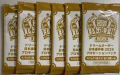 2025年最新】日本選手権 プロモの人気アイテム - メルカリ