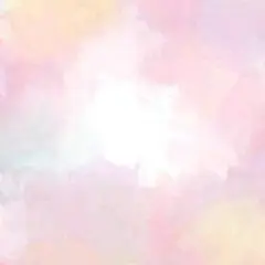 ももりん様 専用