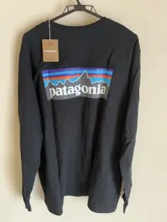 Patagonia M'S ロングスリーブ・P-6ロゴ・レスポンシビリティー