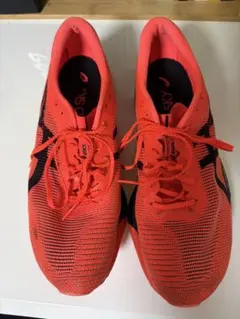 ASICS METASPEED SKY PARRIS 27.5cm