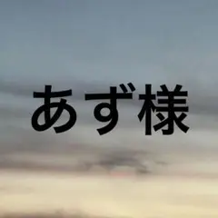 あずさん専用