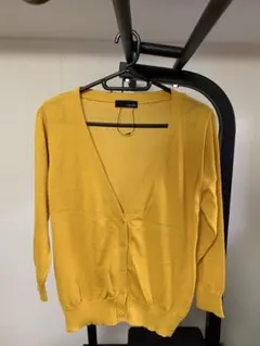 Item thumbnail for item 600b43e4-4cd1-40bc-a8fd-238d21cdb264