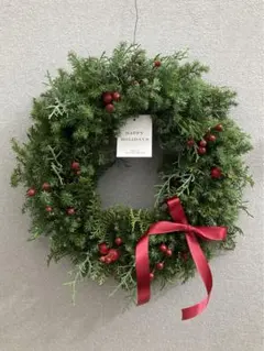 Item thumbnail for item 98b2ed3c-f0bd-4fc8-a4af-273f3bf4ec7b