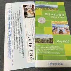 西武ホールディングス 株主優待券 May2025 500株以上1000株未満