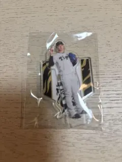 阪神タイガース　西純矢選出サイン入り　キャンプロゴコーチジャケット kobekeitem_4988923655070