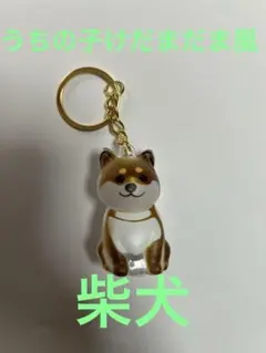 うちの子けだまだま風　柴犬