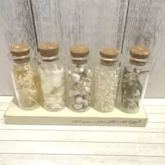 Item thumbnail for item b818b9f2-d97a-43f6-baa1-704abed93e4c