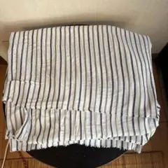 Item thumbnail for item dd553ea6-9a31-4ca5-a527-bf234deaccf1