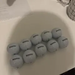 Titleist AVX SUUMO ゴルフボール 10球 비매품