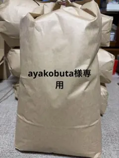 ayakobuta様専用