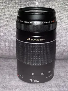 Canon キャノン EF 75-300mm F4-5.6 III USM#76のサムネイル