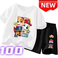 ✨新品✨ パウパトロール 上下セット キッズ 半袖 子供服 コットン 100cm