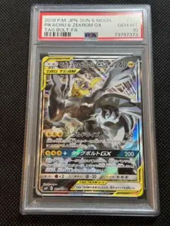 【ARS10】ピカチュウ＆ゼクロム SA ピカチュウ＆ゼクロムGX(SA)【SR】{101/095}