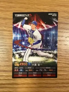 大貫晋一　ポテトチップス プロ野球スピリッツA