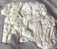 Item thumbnail for item 180120c9-ff40-49d0-b9d9-1c779e4dbf54