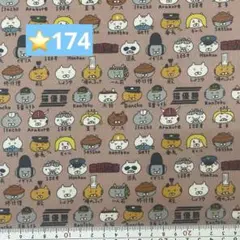 ⭐️174ラミネート1メートル
