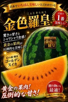 2玉 お得！金色羅王 幻の黄金スイカ 糖度15度以上 - メルカリ