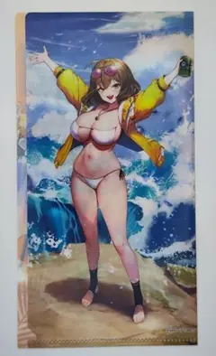 勝利の女神 NIKKE チケットホルダー 水着 アニス