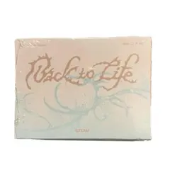 &TEAM Back to Life MINI CD-R 盤　新品未開封