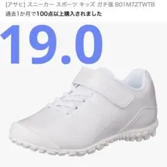 19.0 アサヒ　スニーカー スポーツ キッズ ガチ強 B01M7ZTWTB