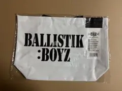 2026年最新】ユニット名：BALLISTIK BOYZ from EXILE TRIBE