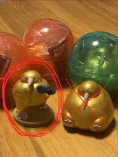 GOLDENムキムキーウィ キーウィんにくトレーニング1つ