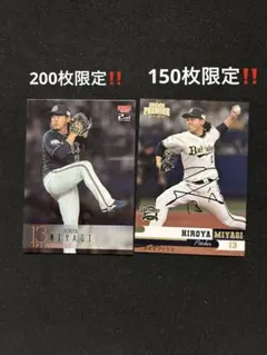 ハンニャバル様 リクエスト 2点 まとめ商品