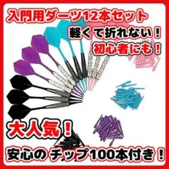 A ハウス ダーツ セット 一体型 ハウス 練習用 16g 12本 100チップ