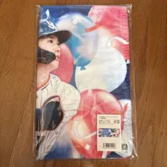 Item thumbnail for item 8592d791-8835-47aa-935e-8b6573c360df