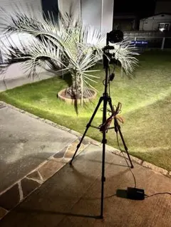 Item thumbnail for item aee086d8-ecad-4a28-a511-d706aeba8181