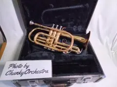 Item thumbnail for item ffcda7c9-1b4d-4582-933e-5c70b7eac0d6