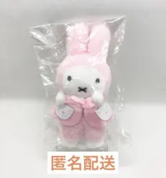 2025年最新】ミッフィー雑貨フェスタマスコットの人気アイテム - メルカリ